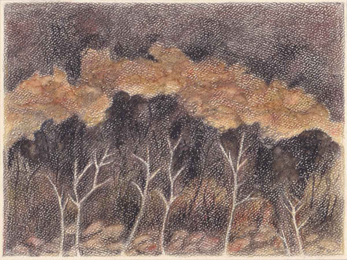 Natural Fire Break